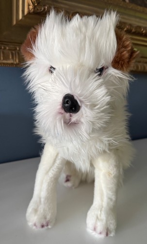 Peluche hotel per cani - peluche,