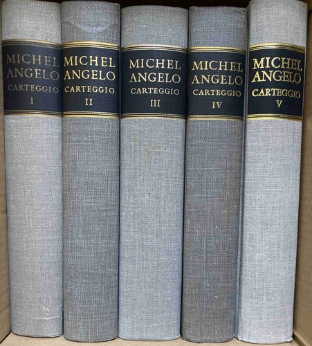 Carteggio michelangelo - il,