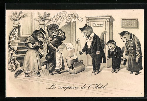Famiglia gatti effettua - gatti,