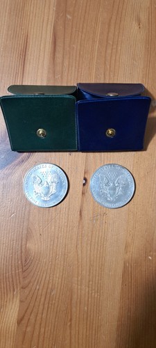 Stati uniti dollaro - dollaro, 1995
