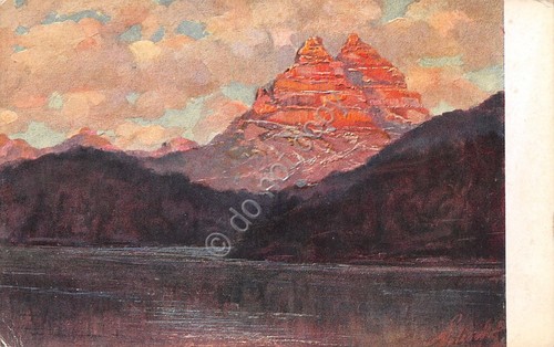 Cartolina illustrata polesello - illustrata,