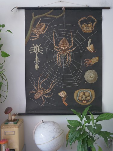 Vintage cartolina da parete - |,