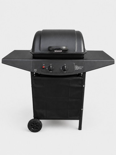 Barbecue gas due fuochi con - gas,