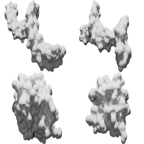 Modello complesso proteina dna - modello,