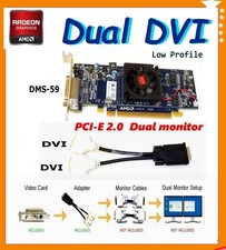 Scheda Video DUAL