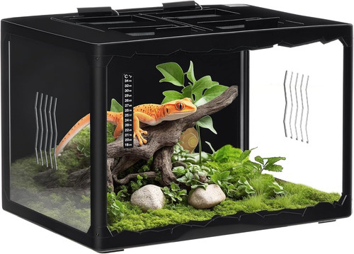 Terrario per tartarughe - terrario,