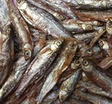Pesci secchi per - _,