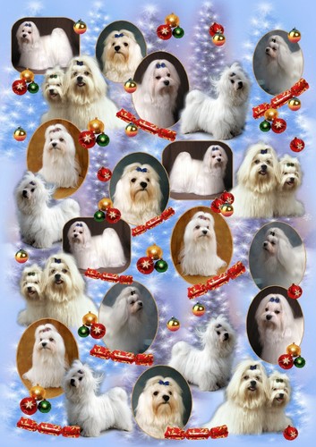Carta imballaggio regalo - da,
