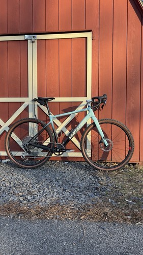 Santa cruz stimmata - stimmata, cc