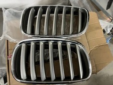 Griglie Cofano BMW X6 E71 Dal 2008 Al 2012 Originali, Argento Satinato
