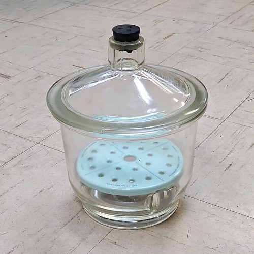 Pyrex essiccatore vetro con - pyrex,