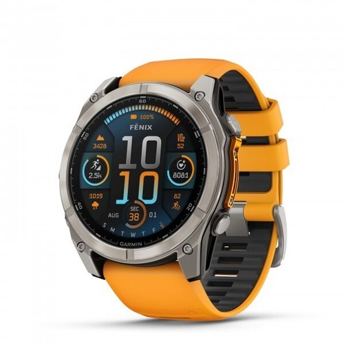 Garmin fenix 51mm zaffiro - fenix,