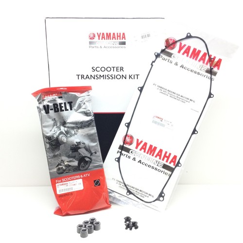 Kit tagliando variatore - tagliando,
