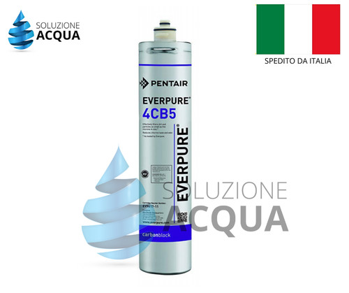 Filtro everpure 4cb5 ev961716 - filtro,