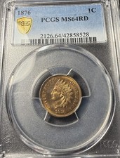 1876 testa indiano - 1876, di