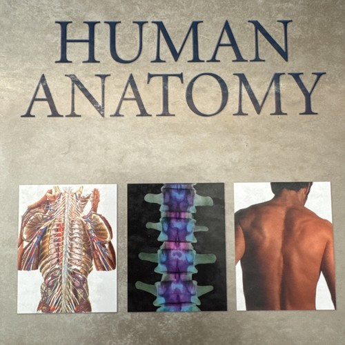 Human anatomy kenneth - kenneth, s