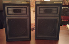 casse acustiche pioneer 2 vie