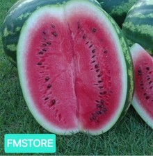 50 SEMI DI ANGURIA CRIMSON