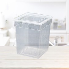  Recinto Per Rettili Terrario