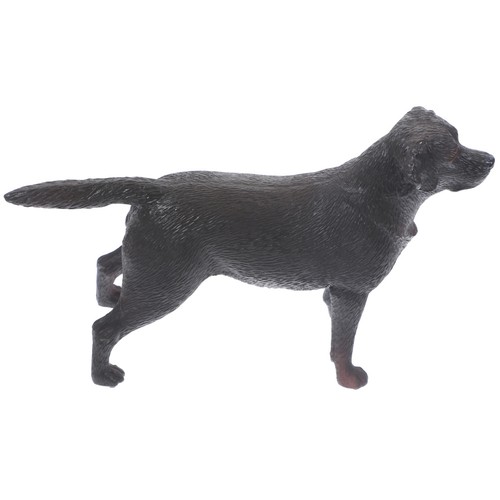 Decorazioni per cani casa - ,