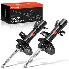 2x Ammortizzatori del Gas