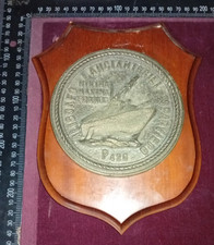 CREST MARINA MILITARE ALISCAFI