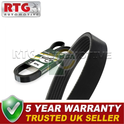Cinghia trasmissione rtg - di,