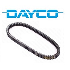 Cinghia Trapezoidale Suzuki AN