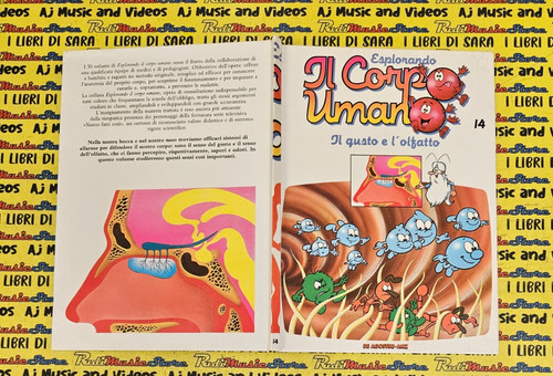 Book libro esplorando - book, corpo