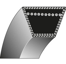 Cinghia trapezoidale