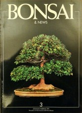 BONSAI & NEWS - GENNAIO