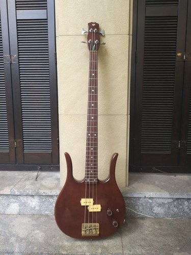 Hondo professional longhorn - ii,