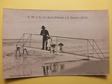 Pisa - Sua Maestà il Re ed i Reali Principi a San Rossore.