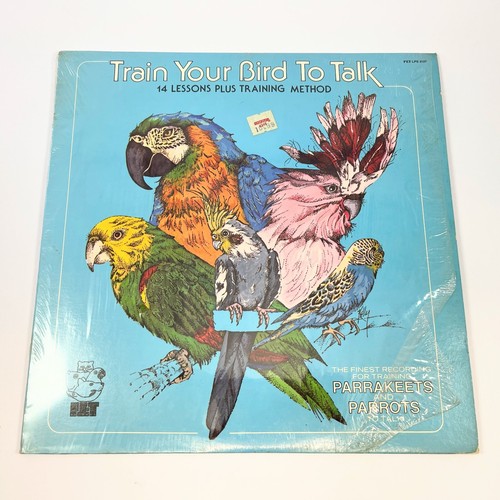 Train your bird talk - train, to