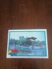 1983 Donruss (Knight Rider)