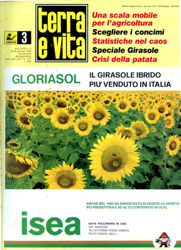 Terra vita n 3 del - terra, "
