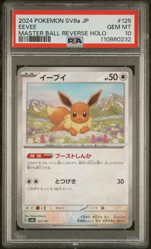 Pokemon 2024 eevee master - eevee,
