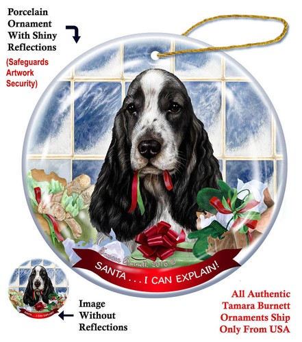 English cocker spaniel - cocker,