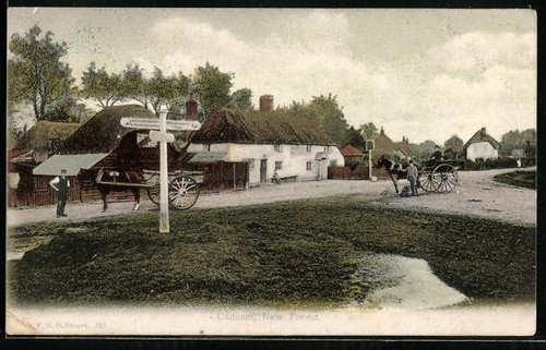 Cartolina cadnam new - cartolina,