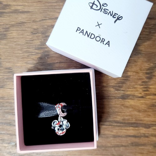 Nuovo charm pendente - charm,