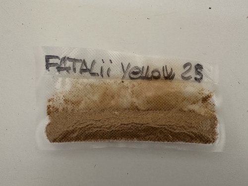 Peperoncino piccante fatalii - piccante,