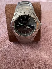 Citizen Eco-Drive Perpetual