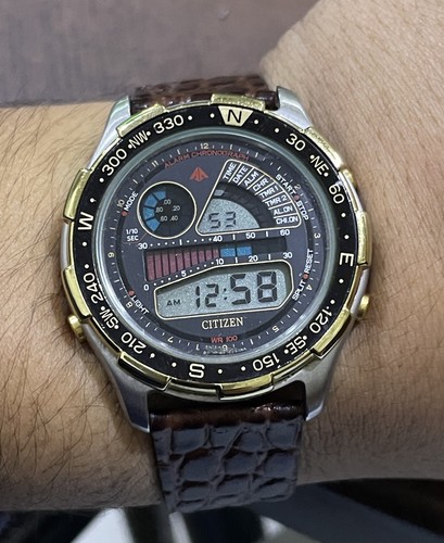 Raro citizen promaster - *raro*,