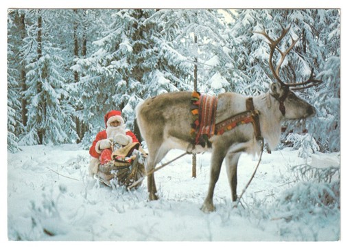 Babbo natale slitta renna - renna, foto