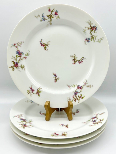 Set piatti insalata haviland - piatti,