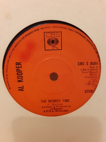 Kooper the monkey time 7 - kooper,
