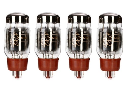Gold lion kt66 valvole - gold,