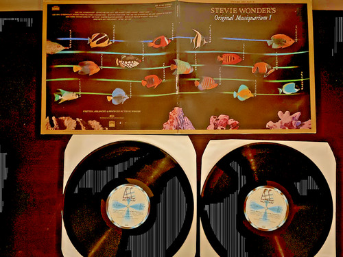 Vinile giri stevie wonder s - 33,