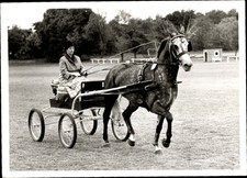 Foto torneo di viaggio