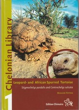 Leopard and African Spurred